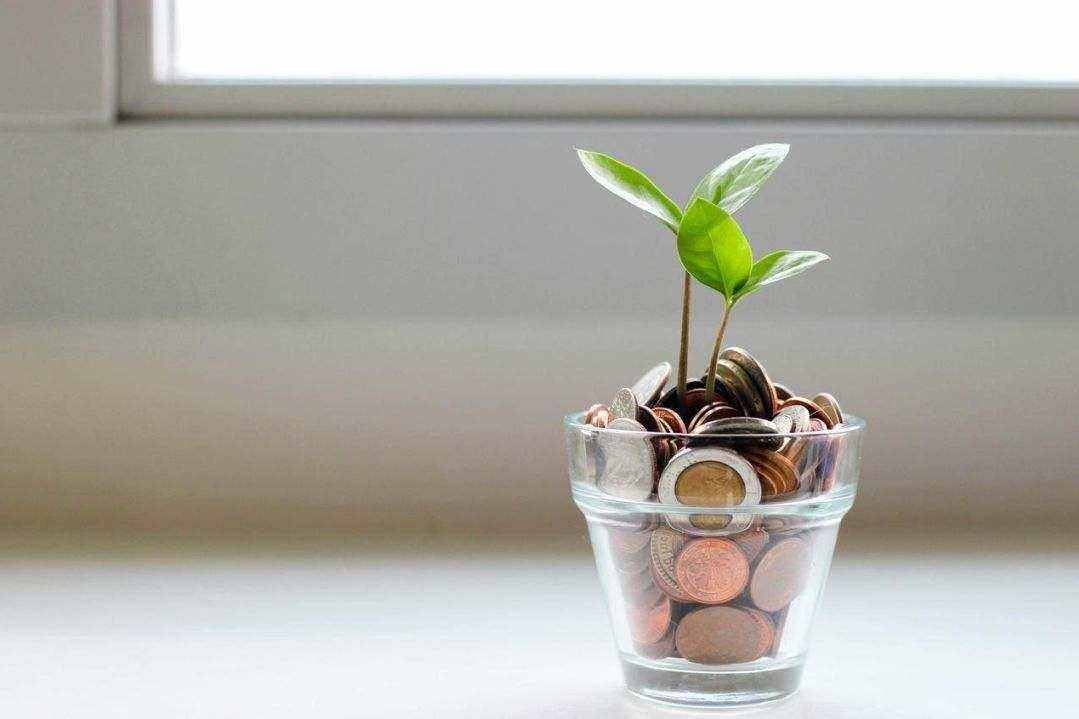 Investitsiya loyihasi